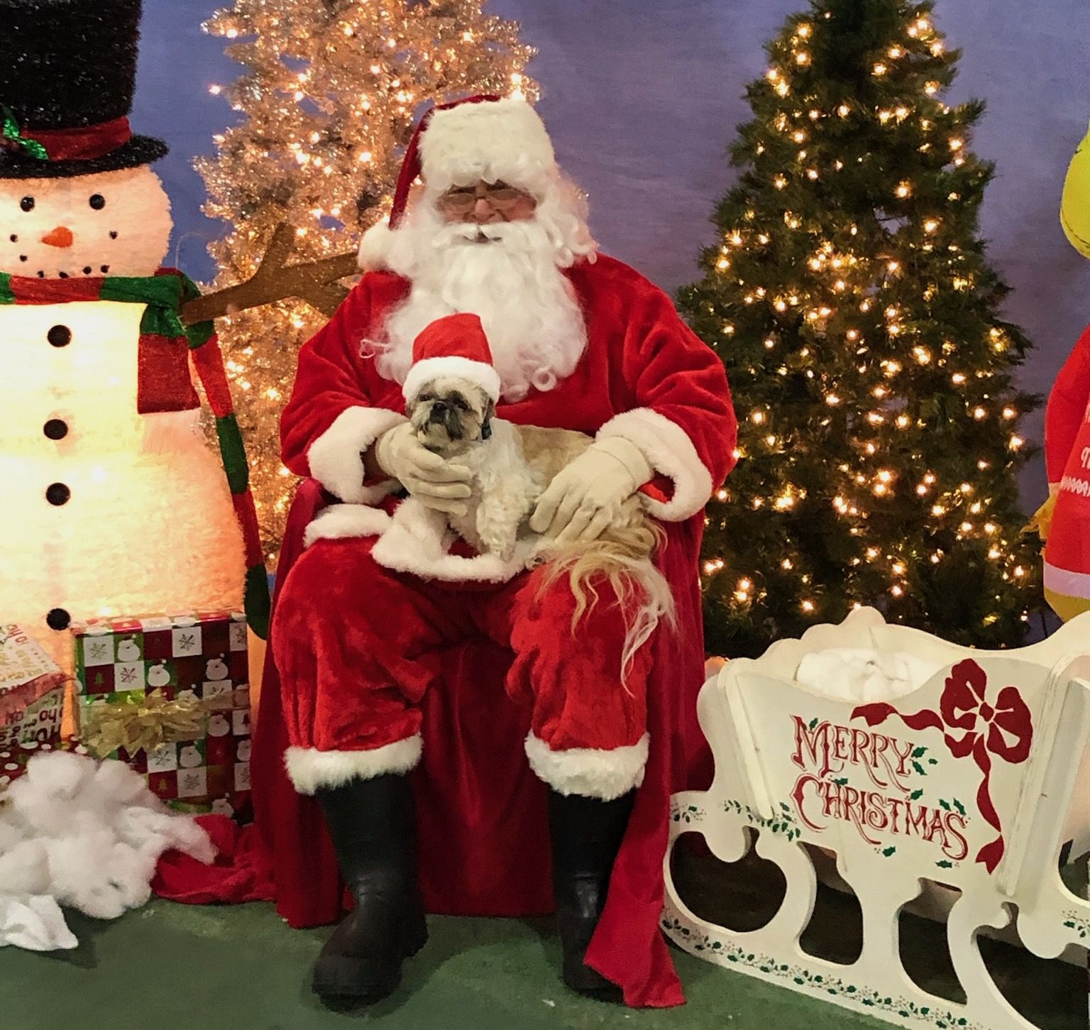 Editorial: November 25, 2022